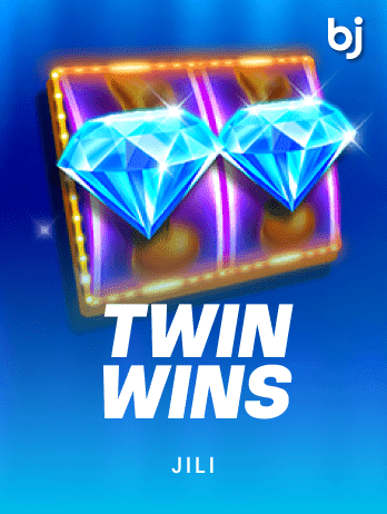 TWIN WINS game icon